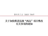 关于加快推进违规“两高”项目整改 有关事项的通知