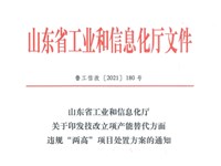 关于印发技改立项产能替代方面违规“两高”项目处置方案的通知